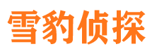 无为市私家侦探